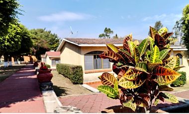 Tlayacapan Morelos Atencion Inversionistas Club Tipo Campestre En Venta