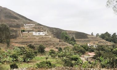 ¡OPORTUNIDAD ÚNICA! Terreno en Condominio Lomas de Jatosisa, Pachacamac