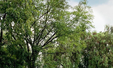 VENDO CASA EN CALLE CERRADA EN LOMAS DE LA HERRADURA, Amplios espacios, 4 recamaras, cerca de Club, Calle cerrada. Jardín,