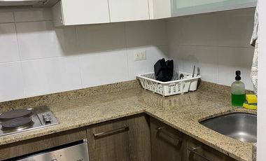 Arriendo departamento 50m2 un dormitorio,cocina indp.Estacionamiento y Bodega. en Ñuñoa