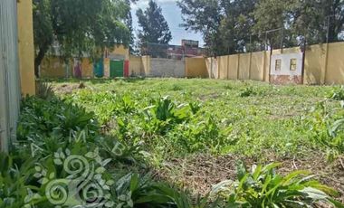 ¡LOCALES  COMERCIALES EN PLAZA CON BODEGA AURRERA, DHL Y FARMACIA POPULAR!