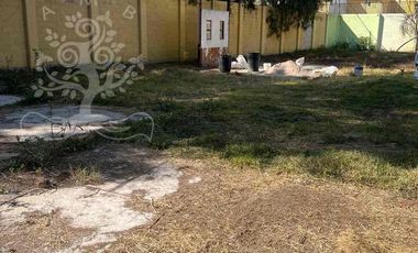 ¡LOCALES  COMERCIALES EN PLAZA CON BODEGA AURRERA, DHL Y FARMACIA POPULAR!