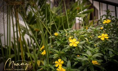 ✨ HOTEL CAMPESTRE EN RENTA Y VENTA – COMBIA, PEREIRA 🌴  Vive o invierte en este espectacular hotel campestre, ideal para proyectos turísticos, evento