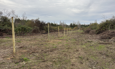 Campo parcela de 4,7 hectáreas ubicado en Chillancito Quillon
