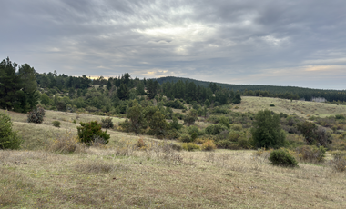 Campo parcela de 4,7 hectáreas ubicado en Chillancito Quillon