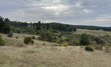 Campo parcela de 4,7 hectáreas ubicado en Chillancito Quillon