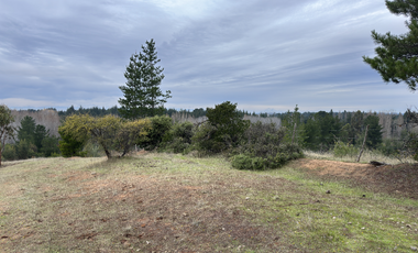 Campo parcela de 4,7 hectáreas ubicado en Chillancito Quillon