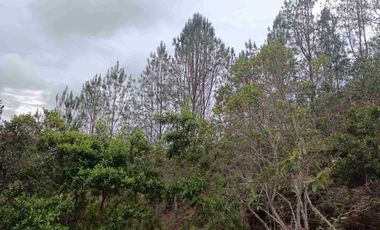 Lote en Venta San Vicente Vereda El Porvenir Proindiviso 95 MILLONES