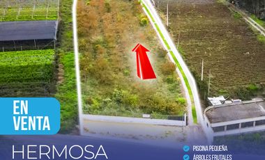 CASA - CEVALLOS , Santa Rosa, Ecuador