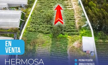 CASA - CEVALLOS , Santa Rosa, Ecuador