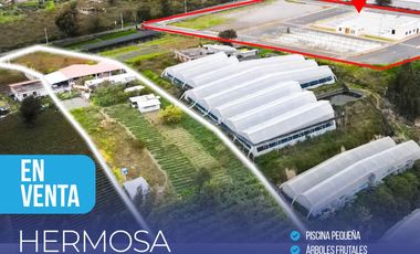 CASA - CEVALLOS , Santa Rosa, Ecuador