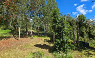 Hermosa Casa con Cabaña en Parcela — Altos de Piedra Blanca, Valdivia
