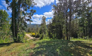 Hermosa Casa con Cabaña en Parcela — Altos de Piedra Blanca, Valdivia
