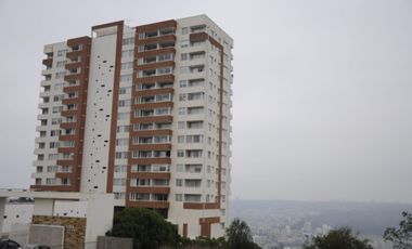VENDO PRECIOSO DEPTO.EN VIÑA DEL MAR ALTO VISTA  AL MAR