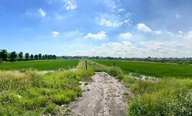 Golden Opportunity! Prime High-Potential Land for Sale near Mega Bangna — Perfect for Luxury Housing Development Kanchanaphisek Road