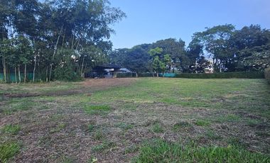 🚩LOTES CAMPESTRE  EN CERRITOS - EL TIGRE