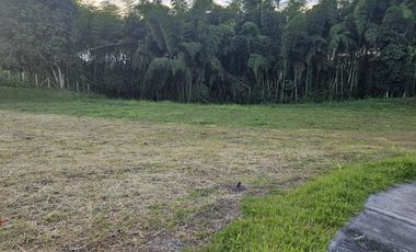 🚩LOTES CAMPESTRE  EN CERRITOS - EL TIGRE