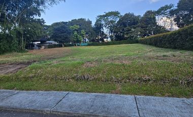 🚩LOTES CAMPESTRE  EN CERRITOS - EL TIGRE