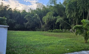 🚩LOTES CAMPESTRE  EN CERRITOS - EL TIGRE