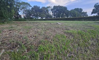 🚩LOTES CAMPESTRE  EN CERRITOS - EL TIGRE