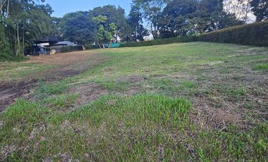 🚩LOTES CAMPESTRE  EN CERRITOS - EL TIGRE