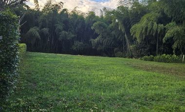 🚩LOTES CAMPESTRE  EN CERRITOS - EL TIGRE