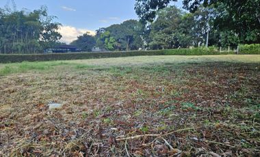 🚩LOTES CAMPESTRE  EN CERRITOS - EL TIGRE