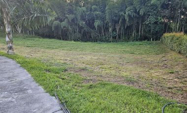 🚩LOTES CAMPESTRE  EN CERRITOS - EL TIGRE