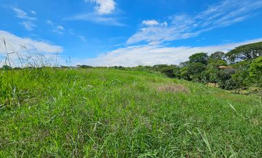 🚩LOTES CAMPESTRE EN PEREIRA CERRITOS