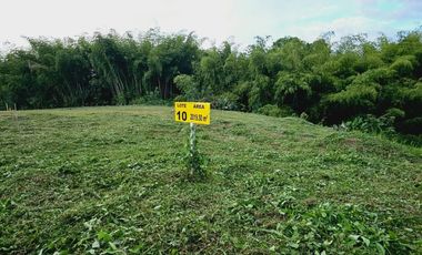 🚩LOTES CAMPESTRES  EN  CERRITOS  MALABAR