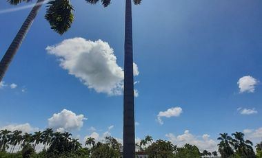 🚩LOTES CAMPESTRES  EN  CERRITOS  MALABAR