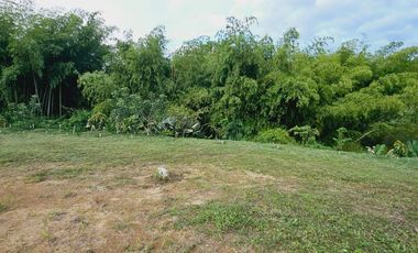 🚩LOTES CAMPESTRES  EN  CERRITOS  MALABAR