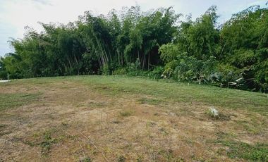 🚩LOTES CAMPESTRES  EN  CERRITOS  MALABAR