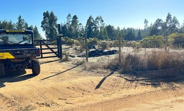 Parcela 5.000 M2, Puertecillo Sexta Región