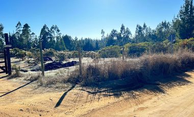 Parcela 5.000 M2, Puertecillo Sexta Región