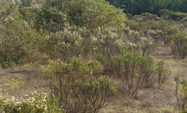 Parcela 5.000 M2, Puertecillo Sexta Región