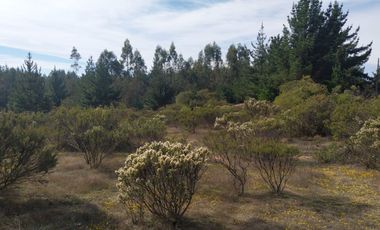 Parcela 5.000 M2, Puertecillo Sexta Región