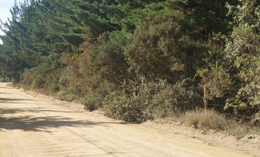 Parcela 5.000 M2, Puertecillo Sexta Región