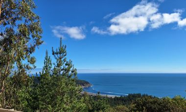 Parcela 5.000 M2, Puertecillo Sexta Región