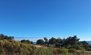 Parcela 5.000 M2, Puertecillo Sexta Región