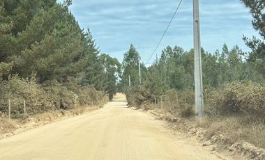 Parcela 5.000 M2, Puertecillo Sexta Región