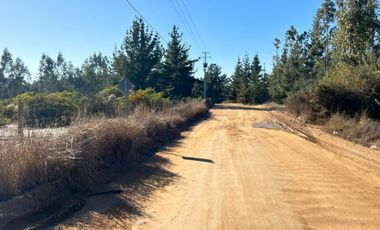Parcela 5.000 M2, Puertecillo Sexta Región