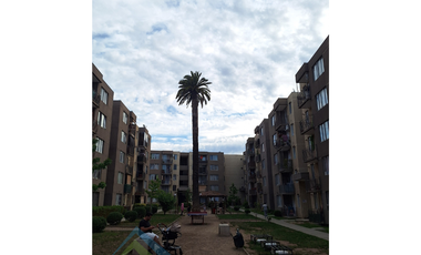 Departamento Excelente Ubicación, 3 Dormitorios. El Bosque