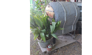 Invierte En Futuro, Sitio Esquina Con Casa, Calera De Tango