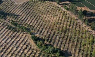 ¡invierte En Un Estilo De Vida Única Cerca De Puertecillo!