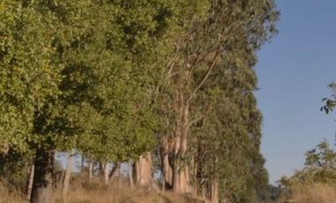 ¡invierte En Un Estilo De Vida Única Cerca De Puertecillo!