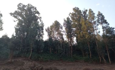 Se Venden Parcelas De Agrado, Sector Angostura Mostazal