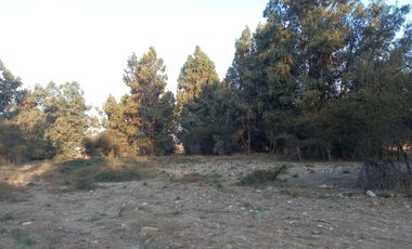 Se Venden Parcelas De Agrado, Sector Angostura Mostazal