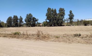 Se Venden Parcelas De Agrado, Sector Angostura Mostazal