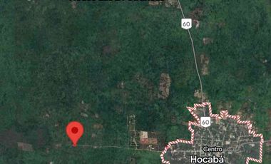 Se Vende 42 Hectáreas Hocoba